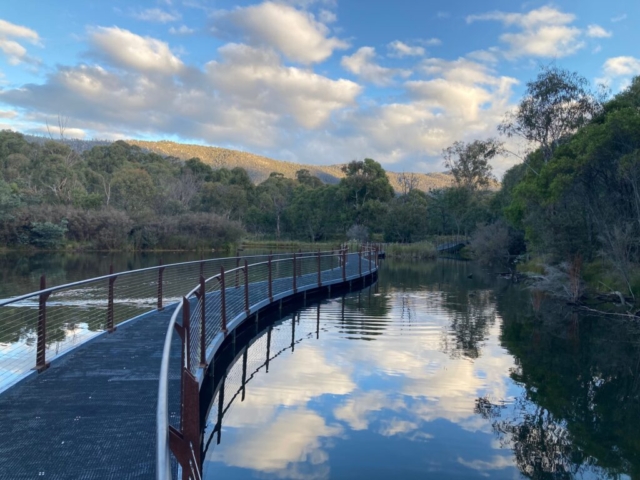 Boardwalk in the reserve