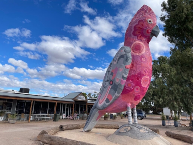 The Big Galah in Kimba