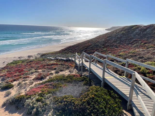 Steps down to Hallys Beach