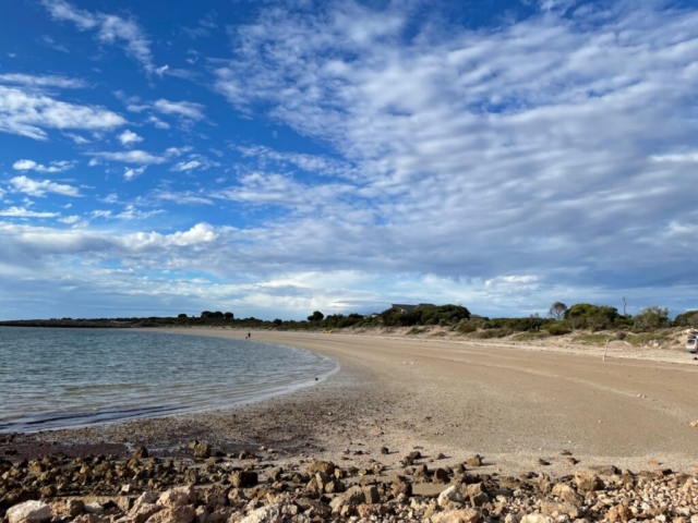 On the outskirts of Streaky Bay