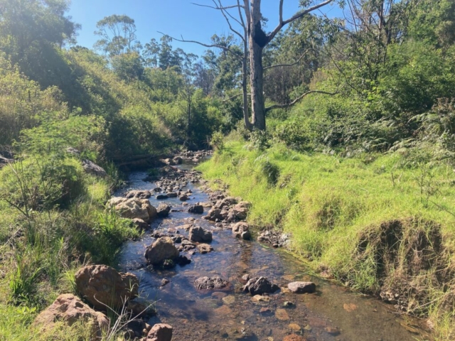 Creek at the edge of the property