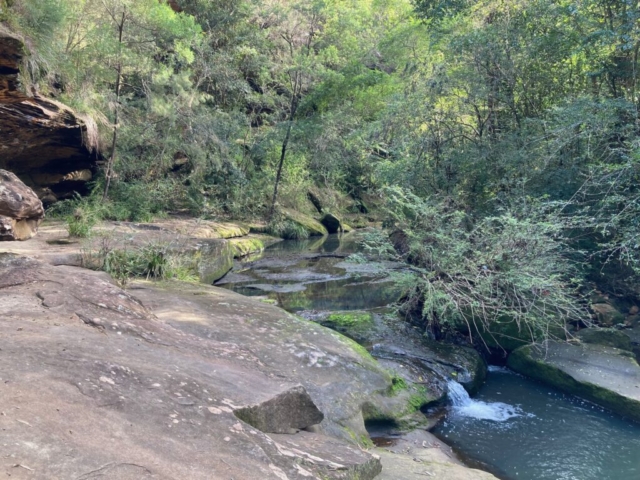 A creek in Lane Cove National Park