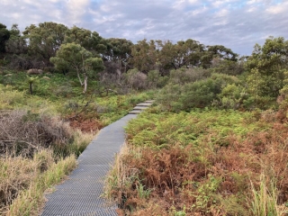 Track in Malabar Headland National Park Track in Malabar Headland National Park