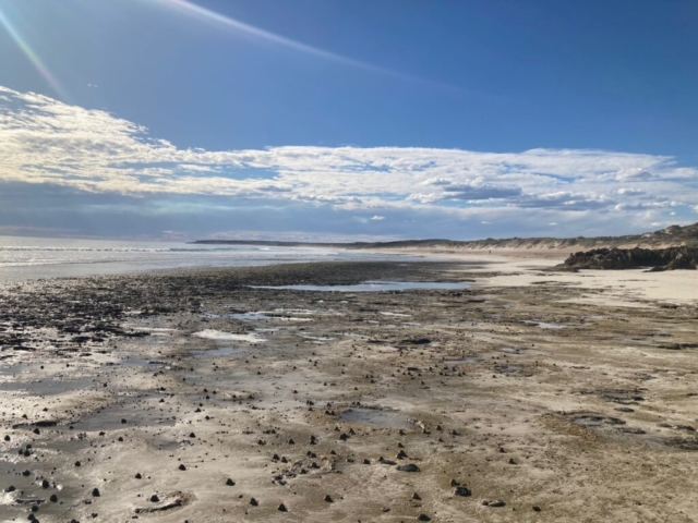 View of Back Beach