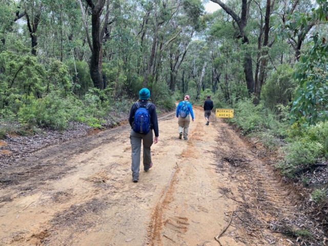 On the track to Point Pilcher