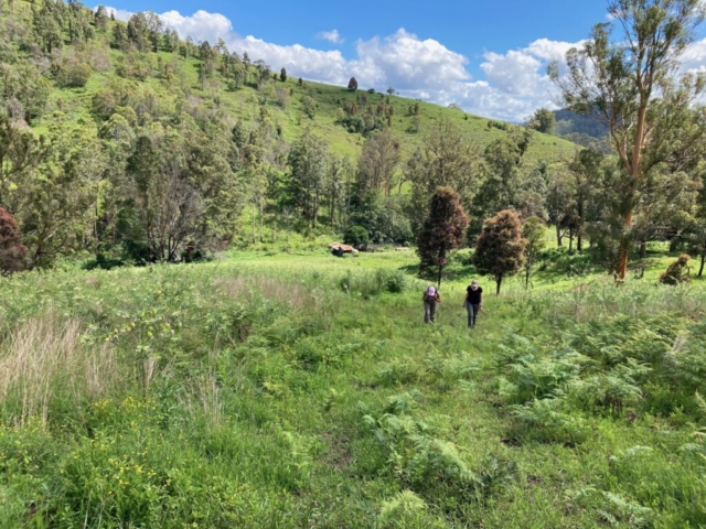 Hiking up the hill towards the 'high road'