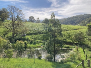 Looking out over the dam