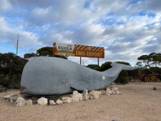 The Big Whale at Eucla