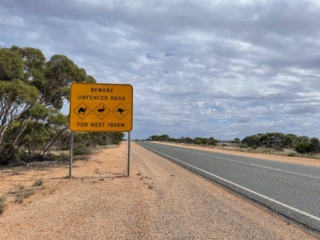 Despite the signs we didn't see a single animal on the road across the Nullarbor