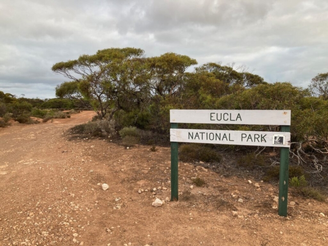 After arrival at Border Village we had a short stroll into Eucla National Park