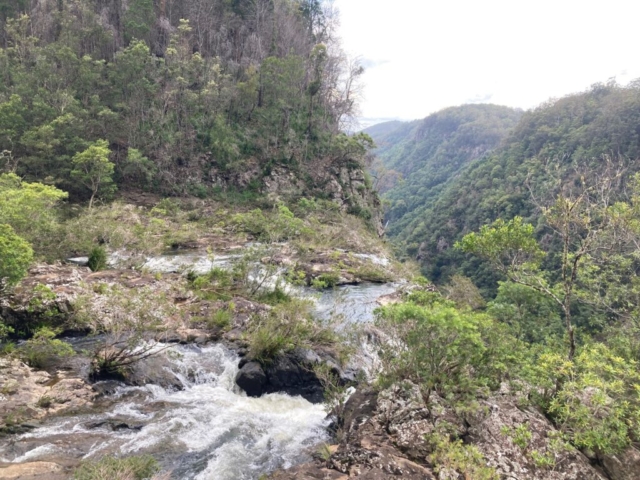 The top of Ellenborough Falls