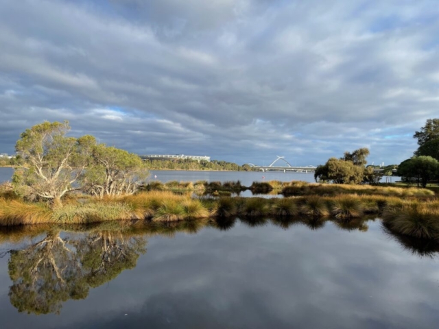 View from the river near Mount Lawley