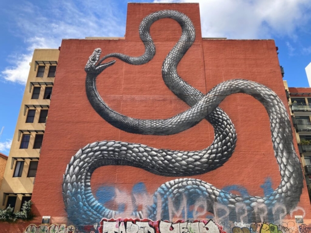 Snake mural in Perth CBD