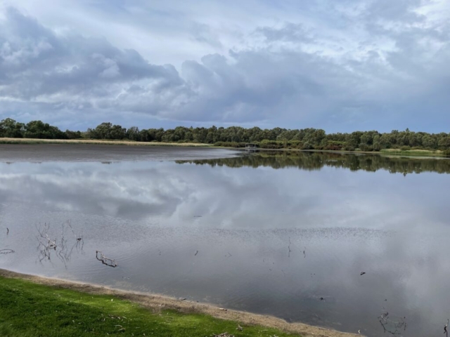 View of the lake from the trail