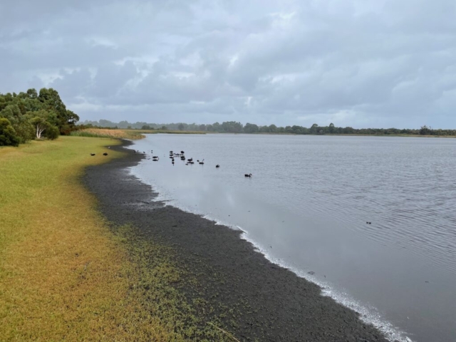 Another view of Bibra Lake