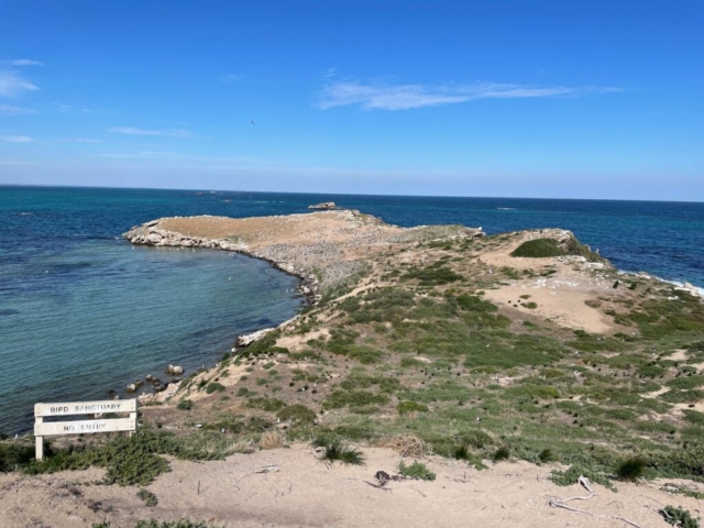 View over the bird sanctuary area of the island