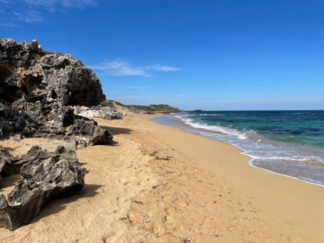 Beach on Penguin Island