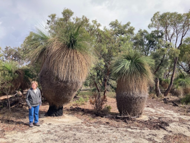 CC's mum with the grass trees