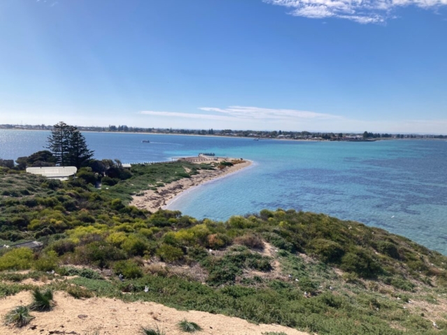 View from the top of Penguin Island