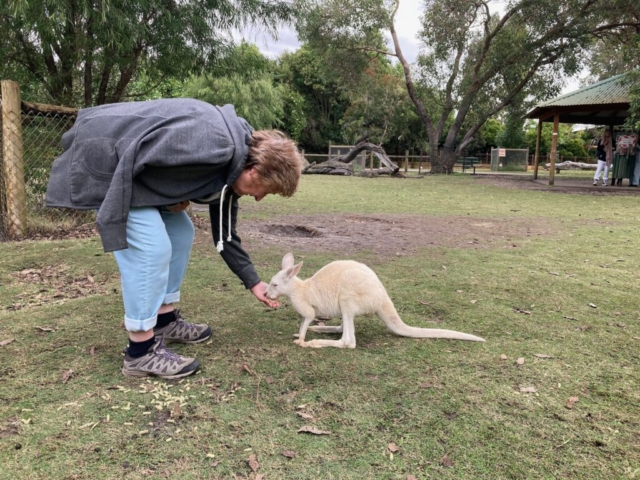 CC's mum feeds a wallaby