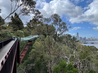 Federation Walkway in the Botanic Gardens