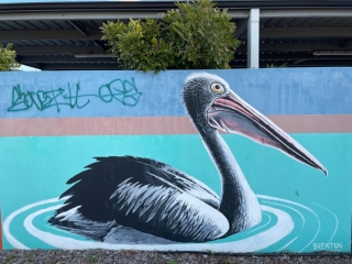 Pelican mural in Hamilton Hill