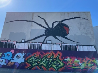 Redback spider mural in North Fremantle