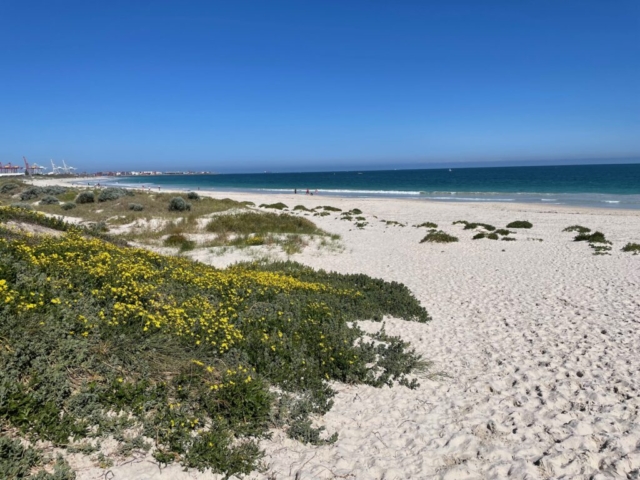 Mosman Beach - as seen by CC on the way to Cottesloe