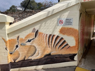 Numbat mural in Daglish