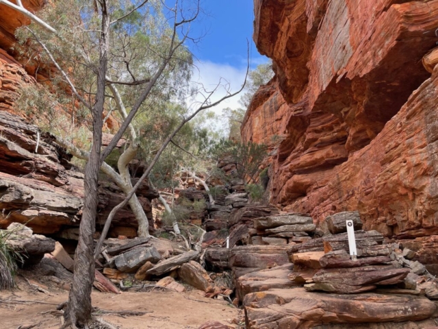 The way back up on the Z Bend River Trail