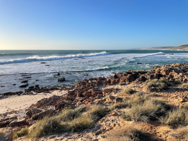 On the coastal walk back to our place in Kalbarri