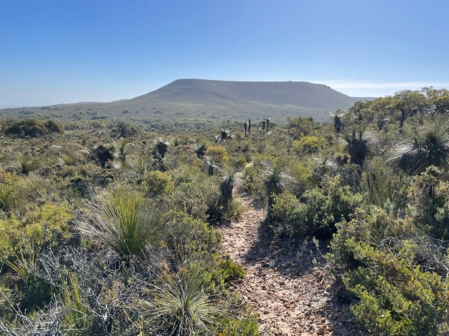 Trail in Lesueur National Park