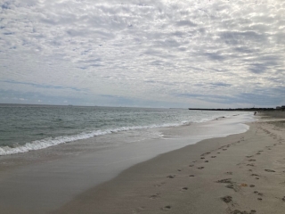 CY O'Connor Beach