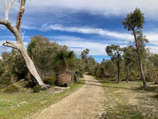 Bibra Lake walk