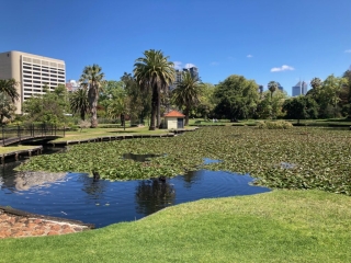 Queens Gardens - East Perth