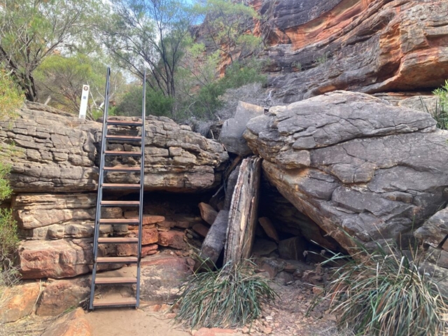 Ladder on the Z Bend River Trail