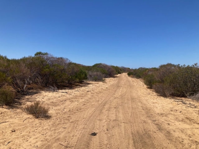 The track across the street from our place in Kalbarri