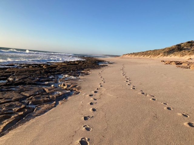 Looking back towards Kalbarri