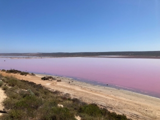 The Pink Lake at Port Gregory