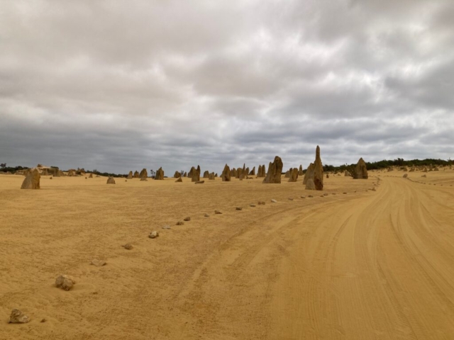 Road at The Pinnacles