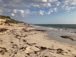 Coastal area near Jindalee