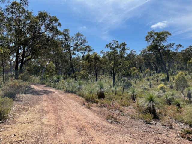 John Forrest National Park