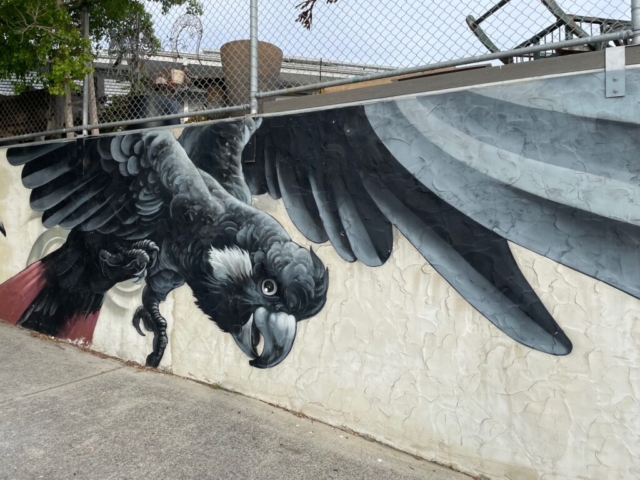 Cockatoo Artwork on Brennan Street