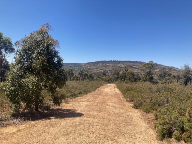 A wide trail in Walyunga National Park