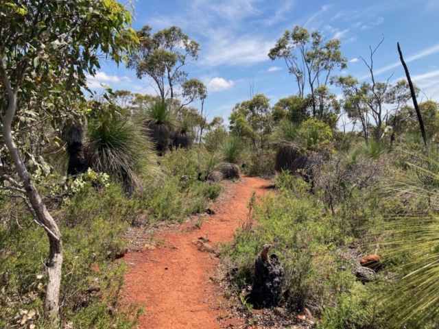 Trail in John Forrest National Park