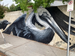 Pelican artwork on Brennan Street