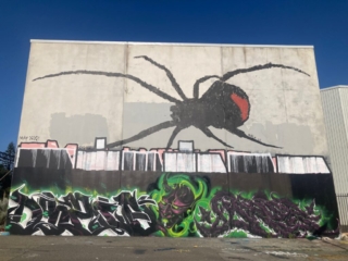 Mural of redback spider