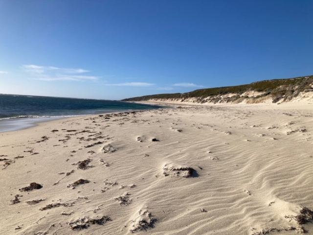 Beach near Gas Bay