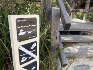 Hamelin Bay Beach is home to stingrays