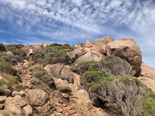 CC on the trail near Smiths Beach